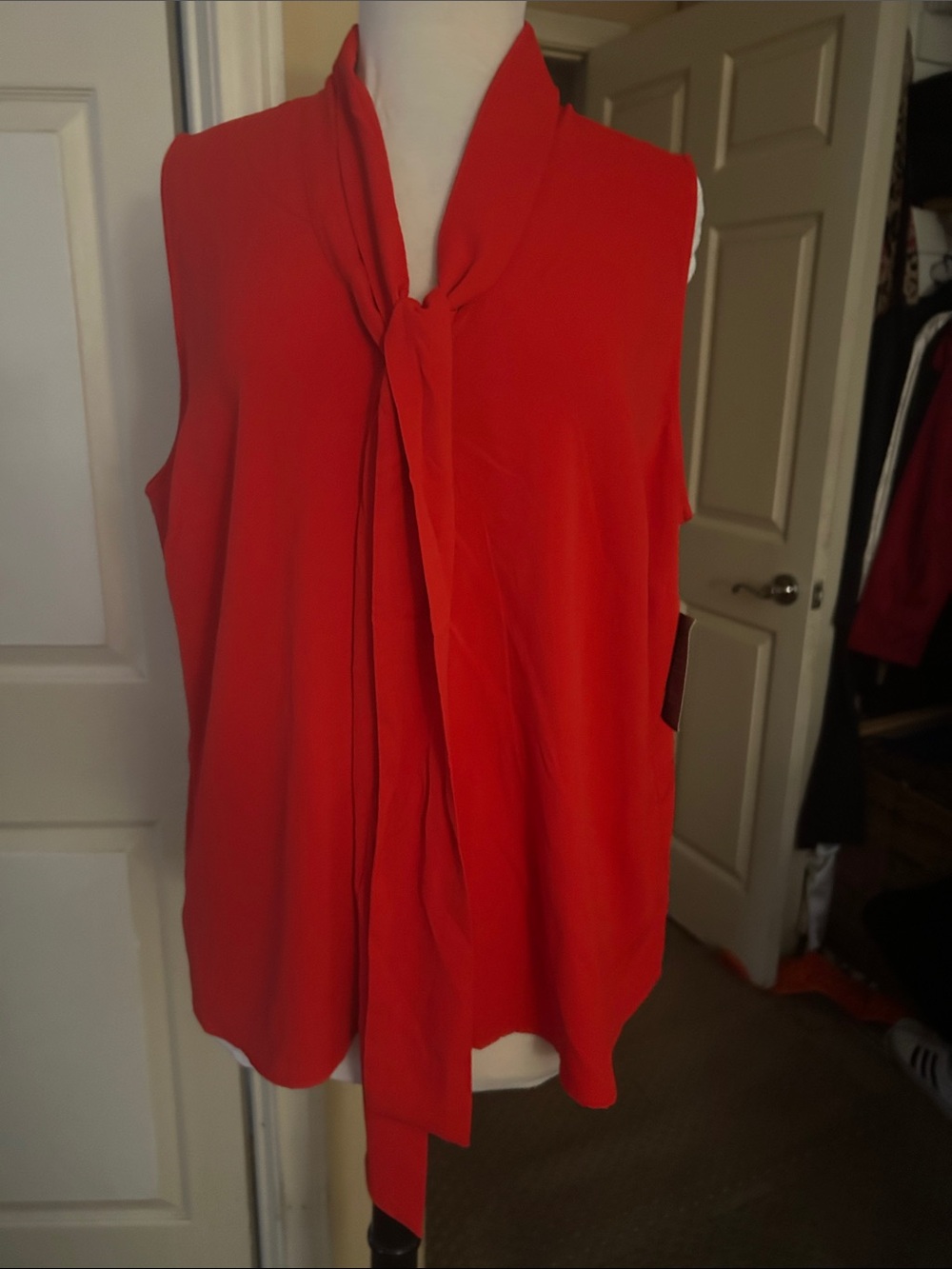 Sleeveless Tie-Neck Camisole in Red